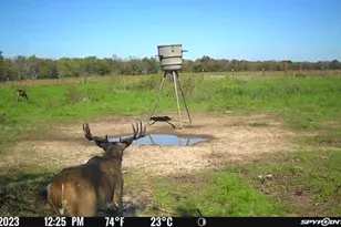 [Address not provided], Elgin, TX 78653 - Photo 16