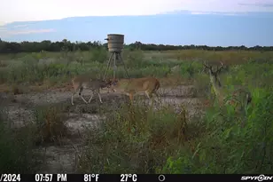 [Address not provided], Elgin, TX 78653 - Photo 18