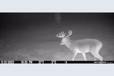 [Address not provided], Elgin, TX 78653 - Photo 20