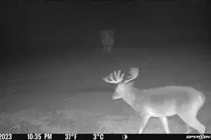 [Address not provided], Elgin, TX 78653 - Photo 20