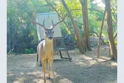 281 Kloster Lane, Blanco, TX 78606 - Photo 28