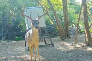 281 Kloster Ln, Blanco, TX 78606 - Photo 28