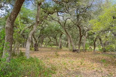100 Rainbow's End, Wimberley, TX 78676 - Photo 40