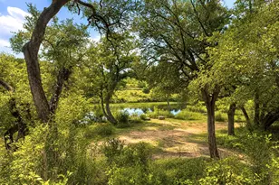 146 Red Granite Dr, Dripping Springs, TX 78620 - Photo 20
