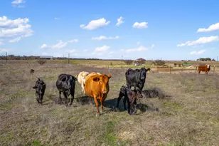 700 Co Rd 466, Elgin, TX 78621 - Photo 14