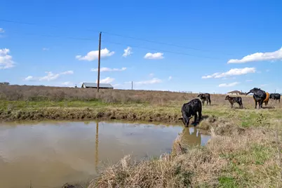 700 County Road 466, Elgin, TX 78621 - Photo 30