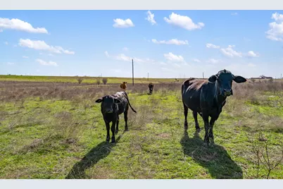 700 County Road 466, Elgin, TX 78621 - Photo 16