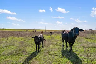700 Co Rd 466, Elgin, TX 78621 - Photo 16