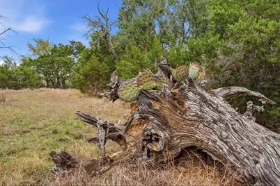Tbd Loop 165, Dripping Springs, TX 78620 - Photo 30
