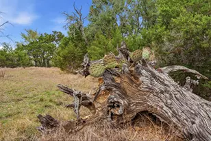 Tbd Loop 165, Dripping Springs, TX 78620 - Photo 30