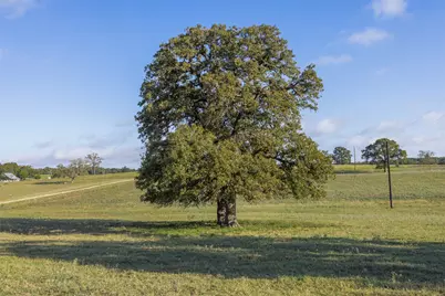 510 County Road 282, Cameron, TX 76520 - Photo 8