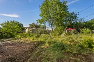 3811 Byron Dr, Austin, TX 78704 - Photo 22