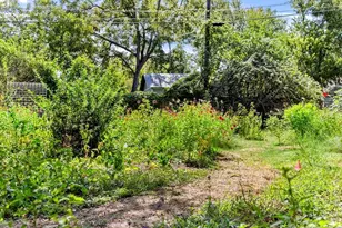 3811 Byron Dr, Austin, TX 78704 - Photo 22