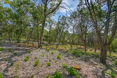 1403 Redbud Trail, West Lake Hills, TX 78746 - Photo 28