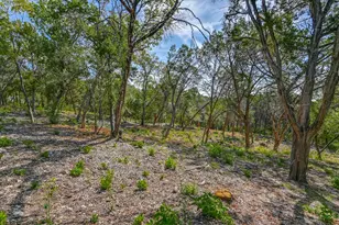 1403 Redbud Trail, West Lake Hills, TX 78746 - Photo 28
