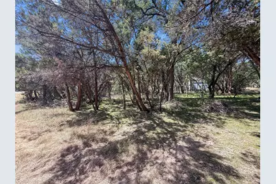 225 N Fawn Ridge, Leander, TX 78641 - Photo 4