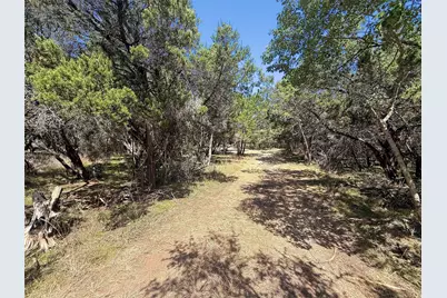 225 N Fawn Ridge, Leander, TX 78641 - Photo 8
