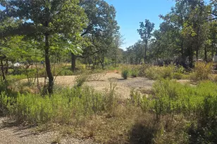Tbd S Lot 23-A At Red Bud Trail, Elgin, TX 78621 - Photo 4