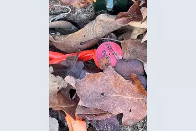 1250 Cypress Trail Loop, Rockdale, TX 76567 - Photo 2