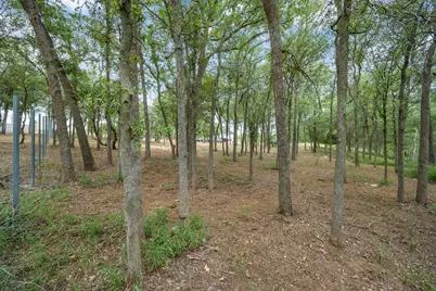 143 Chandler Cove, Cedar Creek, TX 78612 - Photo 10