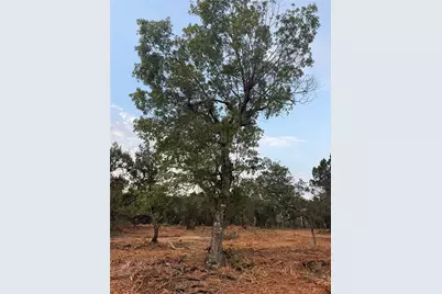 4155 Bee Creek Road, Spicewood, TX 78669 - Photo 12