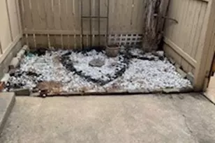 307 W William Cannon Dr W, Austin, TX 78745 - Photo 12