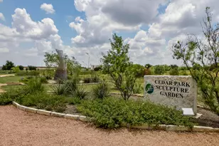 1429 Davis Mountain Loop, Cedar Park, TX 78613 - Photo 38