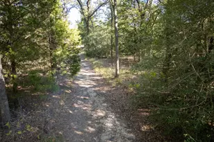 141 Morning Dove Ln, Elgin, TX 78602 - Photo 38