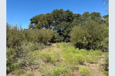 10.15 Ac Fm 2409 Road, Temple, TX 76504 - Photo 2