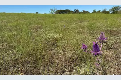 10.15 Ac Fm 2409 Road, Temple, TX 76504 - Photo 14