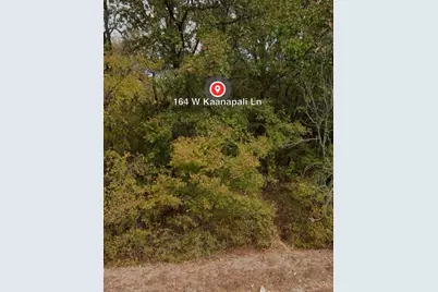 162 & 164 W Kaanapali Lane, Bastrop, TX 78602 - Photo 8