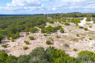 2970 Rolling Hills Rd, Blanco, TX 78606 - Photo 28