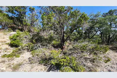 104 Stonegate Lane, Dripping Springs, TX 78620 - Photo 28