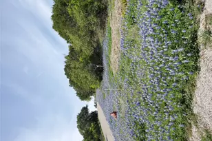 000 Dew Drop St, Horseshoe Bay, TX 78657 - Photo 2