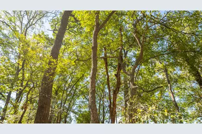 1558 Texas Street, Rockdale, TX 76567 - Photo 2