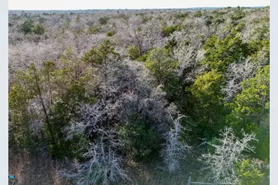 Lot 3 South Old Potato Road, Paige, TX 78659 - Photo 14