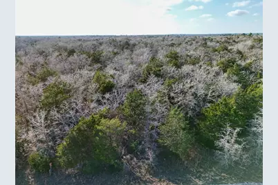 Lot 3 South Old Potato Road, Paige, TX 78659 - Photo 4
