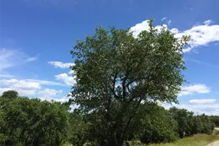 934 Beauchamp Rd, Dripping Springs, TX 78620 - Photo 1