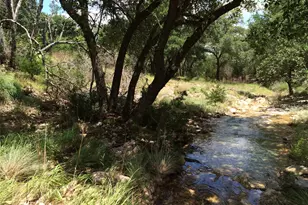 934 Beauchamp Rd, Dripping Springs, TX 78620 - Photo 1