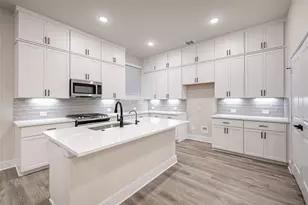 207 Flora Spgs Cv, Liberty Hill, TX 78642 - Photo 10