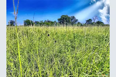 5350 Soda Springs Road, Luling, TX 78648 - Photo 6