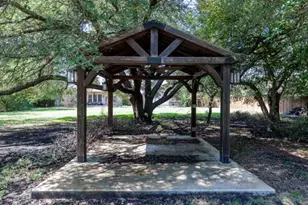 220 Hobby Horse, Liberty Hill, TX 78642 - Photo 28