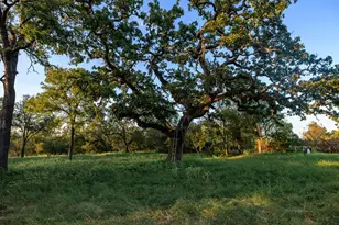 10030 E US Hwy 290 Hwy, Fredericksburg, TX 78624 - Photo 38