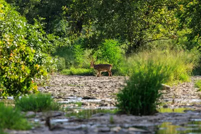 10030 E US Highway 290 Highway, Fredericksburg, TX 78624 - Photo 32