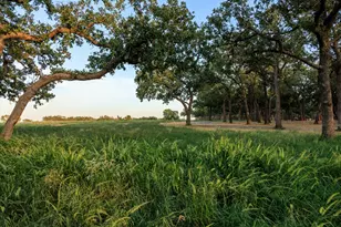 10030 E US Hwy 290 Hwy, Fredericksburg, TX 78624 - Photo 38