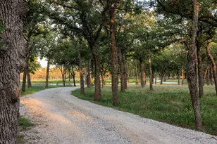 10030 E US Hwy 290 Hwy, Fredericksburg, TX 78624 - Photo 40