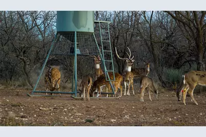 20775 County Road 1445, Paint Rock, TX 76866 - Photo 6