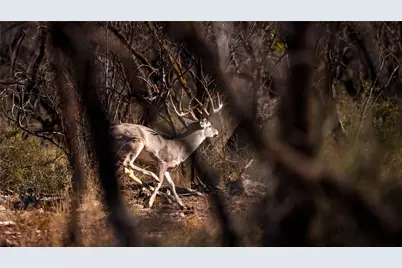 20775 County Road 1445, Paint Rock, TX 76866 - Photo 4