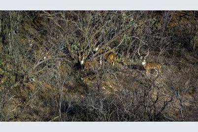 20775 County Road 1445, Paint Rock, TX 76866 - Photo 10