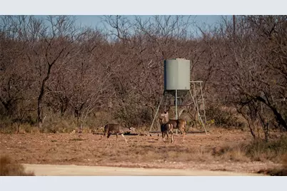 20775 County Road 1445, Paint Rock, TX 76866 - Photo 38